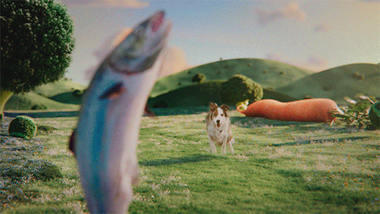 Feed Their Happiness 30 Clip 006