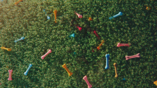 Feed Their Happiness 30 Clip 015