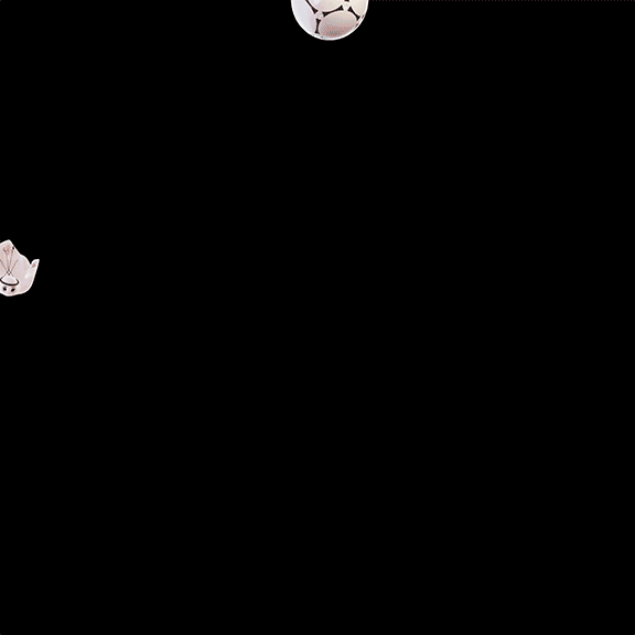 GIF10 Ball Catch 1x1 H264