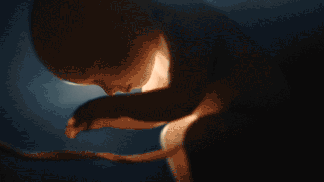 S020 OV GIF Select A BTS 6s 640x360