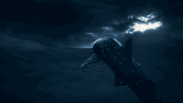 S050 OV GIF Select A 4s 640x360