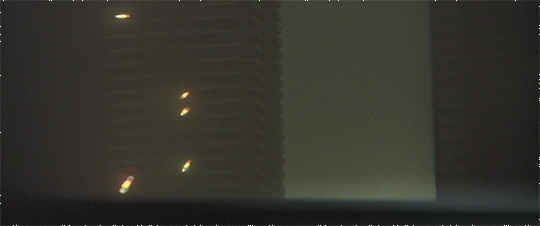 295552140016791 623a141556ef2