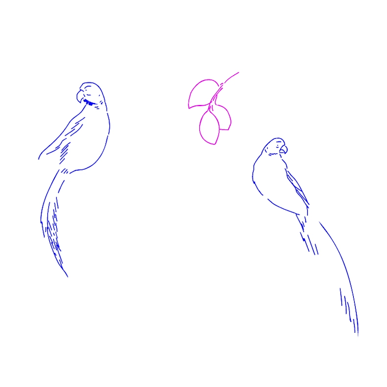 VA Mulberry Parrot Butterfly v03