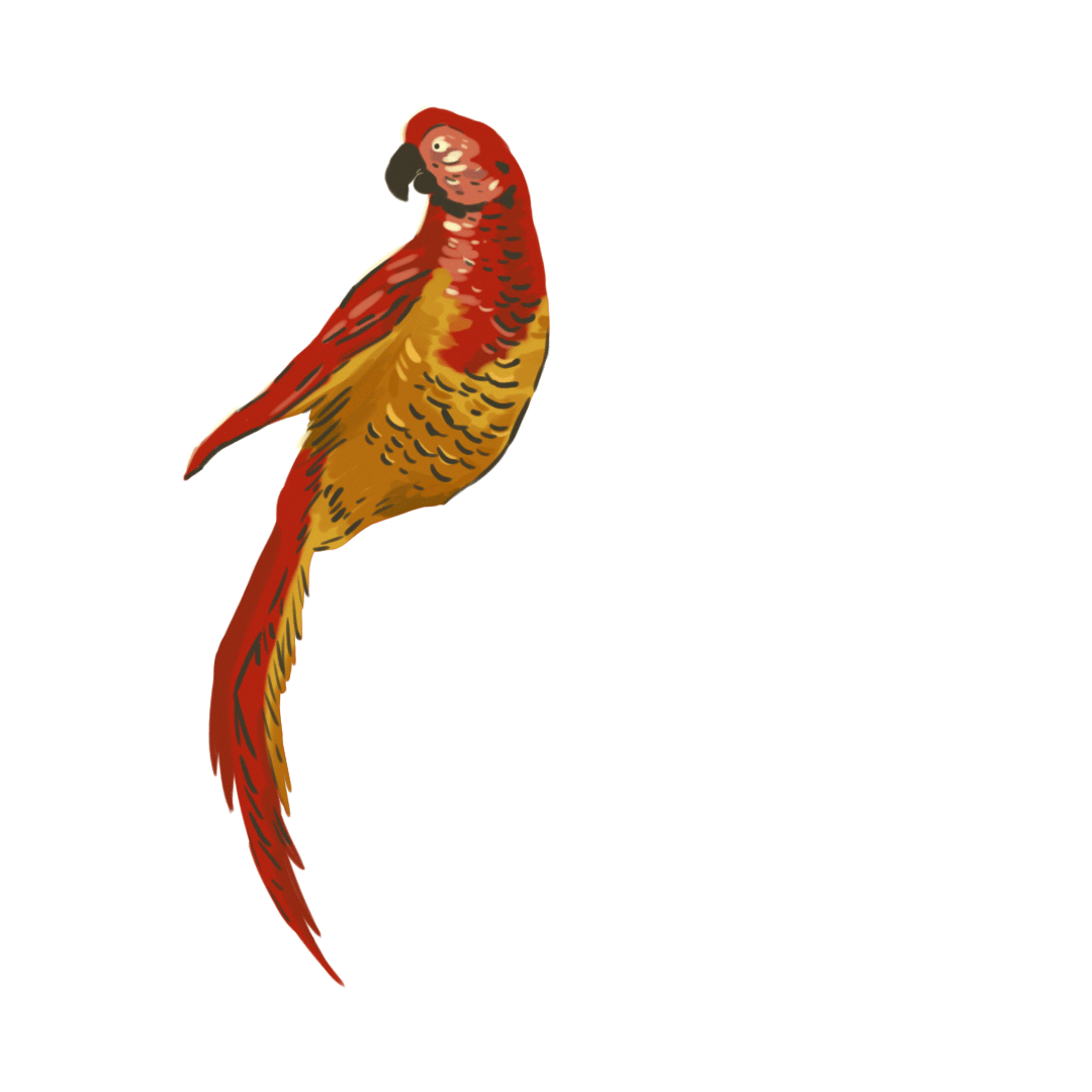 VA Mulberry Parrot Cleaning Clean v02 Seq W