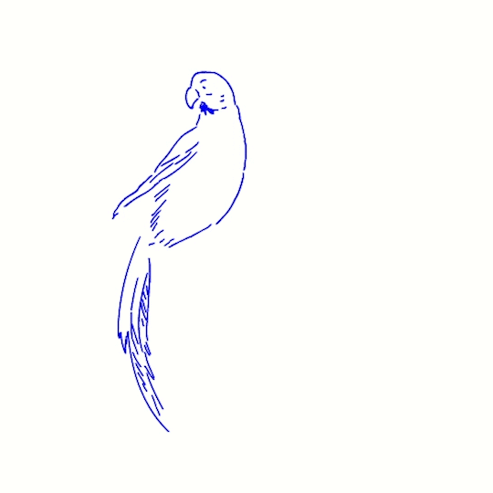 VA Mulberry Parrot Cleaning v02